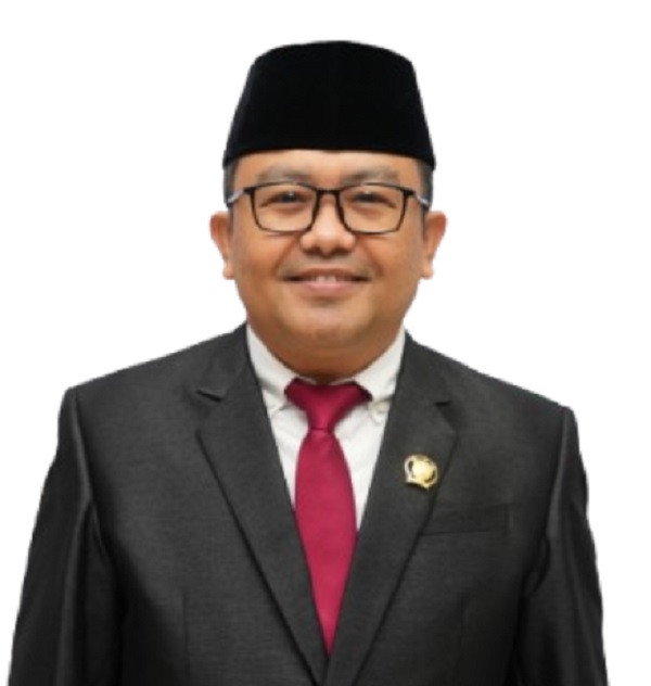 dr. Novel Tyty Paembonan, M.Si
